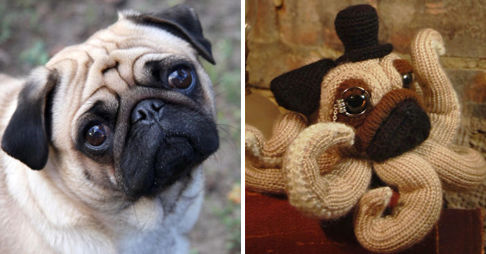 I Can Turn Your Pet Into A Creepy Cute Toy