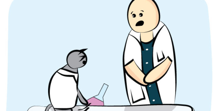 The Adventures Of A Science Cat