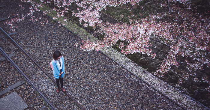 I Traveled To Japan And Photographed The Cherry Blossoms
