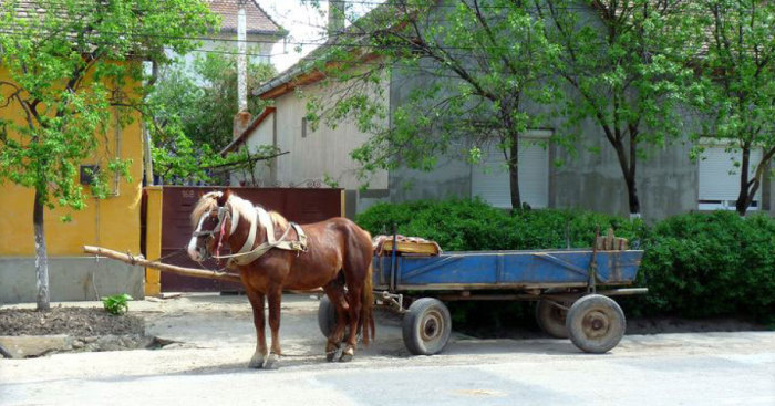 I Photographed Romanian Villages That Look Like Frozen In Time