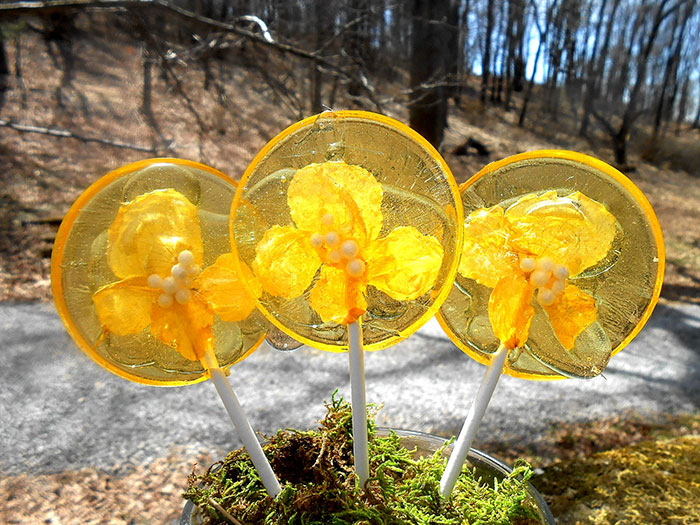 flower-lollipops-food-art-sugar-bakers-janet-best-11 flower-lollipops-food-art-sugar-bakers-janet-best-11