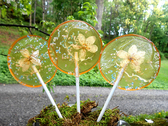 flower-lollipops-food-art-sugar-bakers-janet-best-29 flower-lollipops-food-art-sugar-bakers-janet-best-29