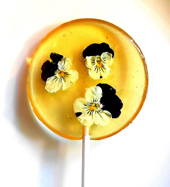 flower-lollipops-food-art-sugar-bakers-janet-best-9 flower-lollipops-food-art-sugar-bakers-janet-best-9