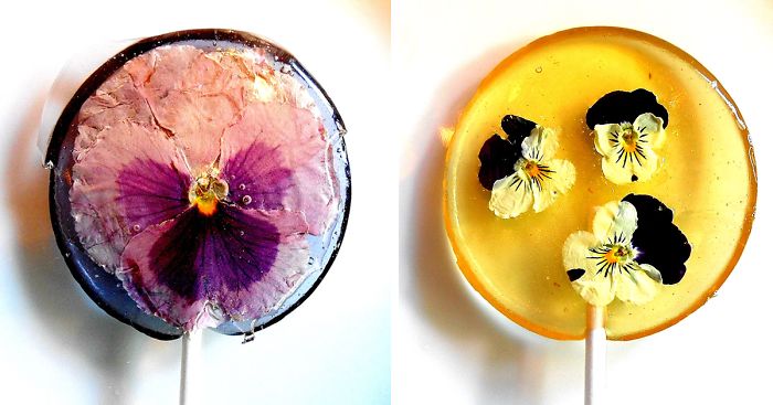 Edible Flower Petals Preserved Inside Lollipops