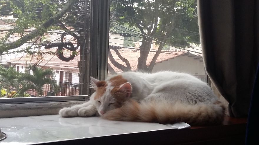 From My Office, Cali, Colombia