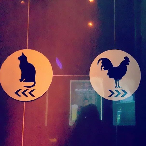 Funny bathroom signs with cat and rooster symbols for directions.