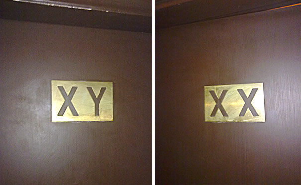 Funny bathroom signs with "XY" and "XX" labels on dark doors.