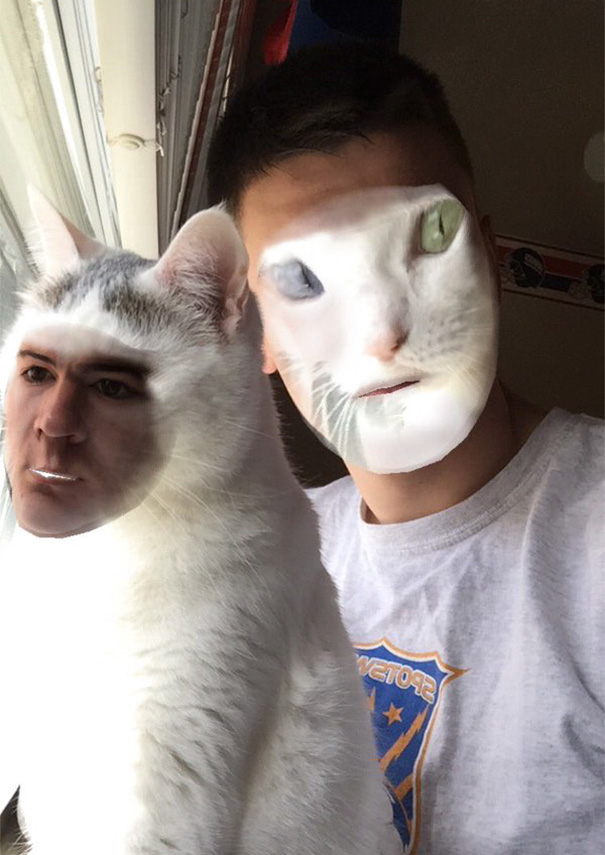 When You Face Swap With Your Cat