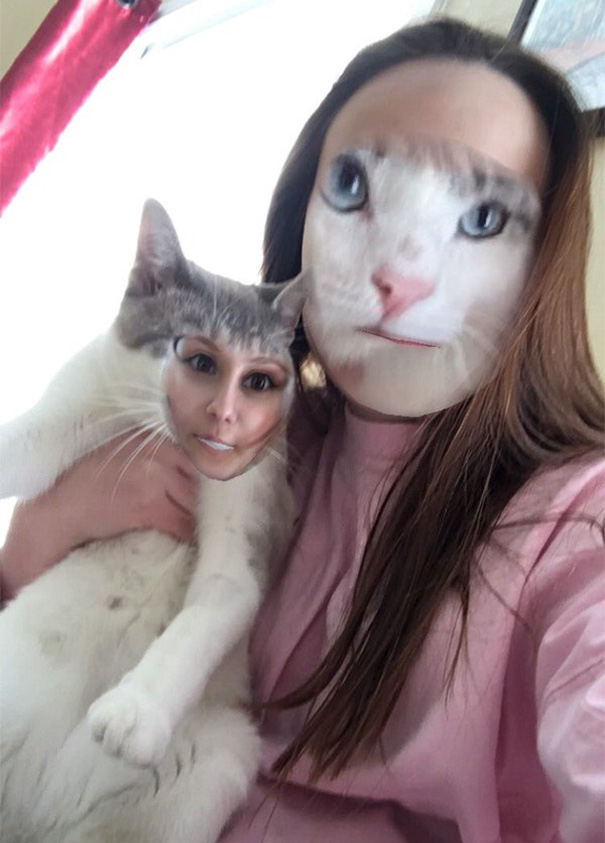 Face Swap With My Kitty