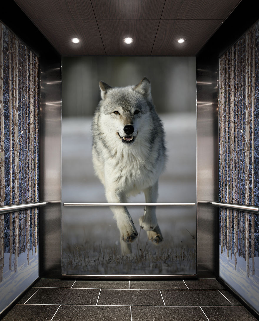 We Created Elevators Full Of Excitement On The Occasion Of International Elevator Day