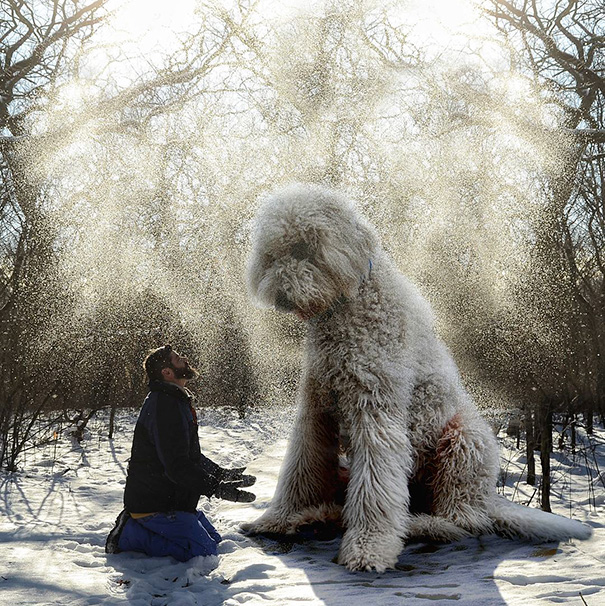 giant-dog-photoshop-adventures-juji-christopher-cline-1 giant-dog-photoshop-adventures-juji-christopher-cline-1