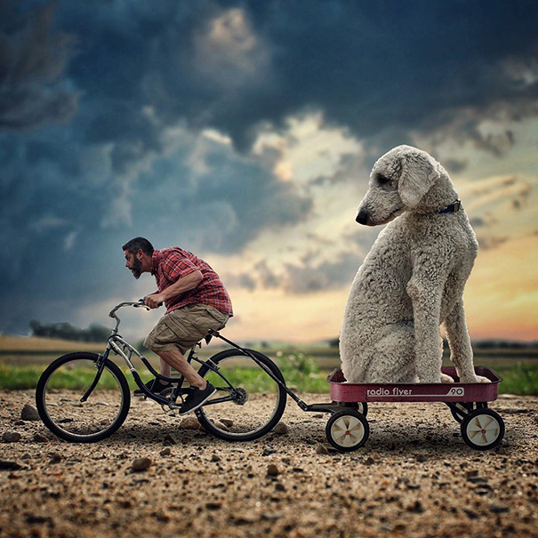 giant-dog-photoshop-adventures-juji-christopher-cline-33 giant-dog-photoshop-adventures-juji-christopher-cline-33