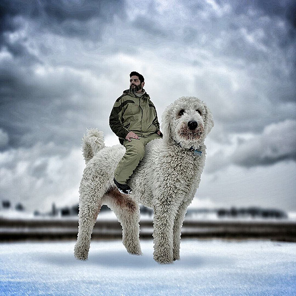 giant-dog-photoshop-adventures-juji-christopher-cline-4 giant-dog-photoshop-adventures-juji-christopher-cline-4