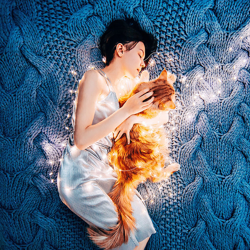 ginger-cat-photography-kotleta-cutlet-kristina-makeeva-hobopeeba-8 ginger-cat-photography-kotleta-cutlet-kristina-makeeva-hobopeeba-8