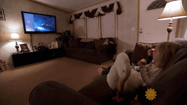 girl-best-friends-duck-snowflake-kylie-brown-gif-2 girl-best-friends-duck-snowflake-kylie-brown-gif-2