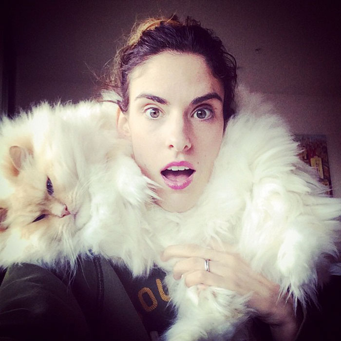 hairy-fluffy-cat-sky-the-ragdoll-54 hairy-fluffy-cat-sky-the-ragdoll-54