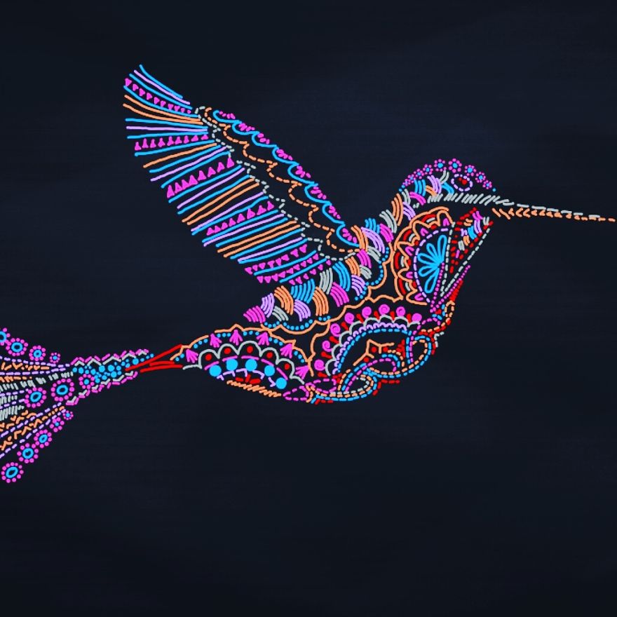 Humming Bird Flying In Colour. The Dreams Of Flying. Alwasy Believe In Yourself.