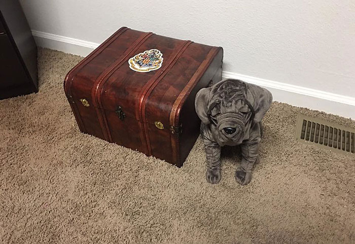 harry-potter-themed-baby-nursery-17