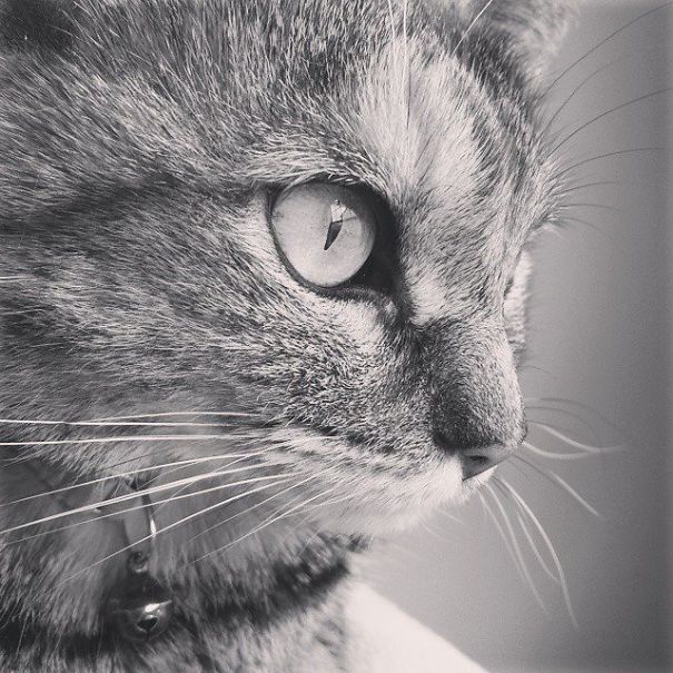 I Fell In Love I Fell In Love