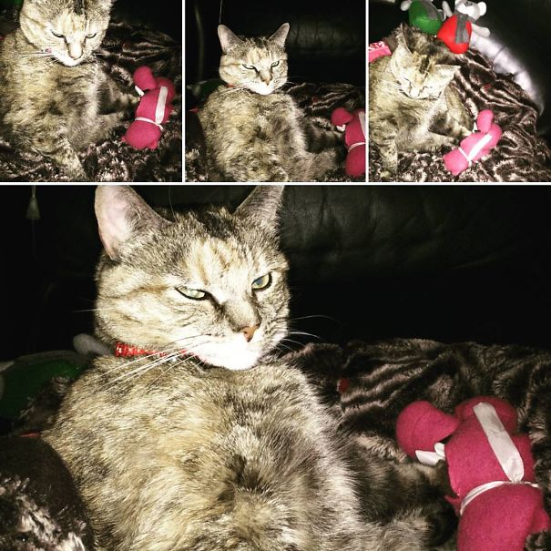 I Fell In Love I Fell In Love