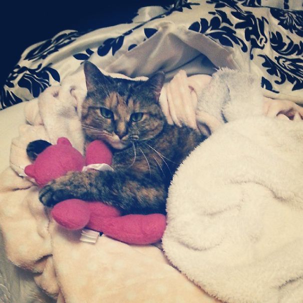 I Fell In Love I Fell In Love