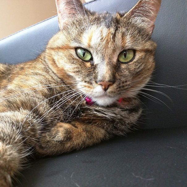 I Fell In Love I Fell In Love