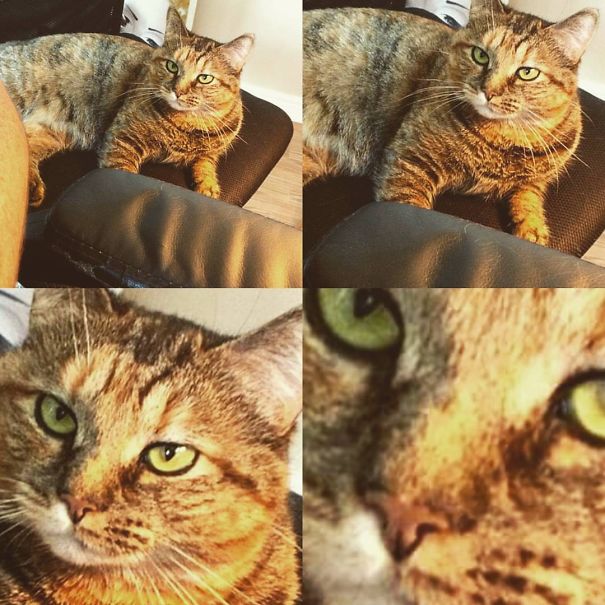 I Fell In Love I Fell In Love