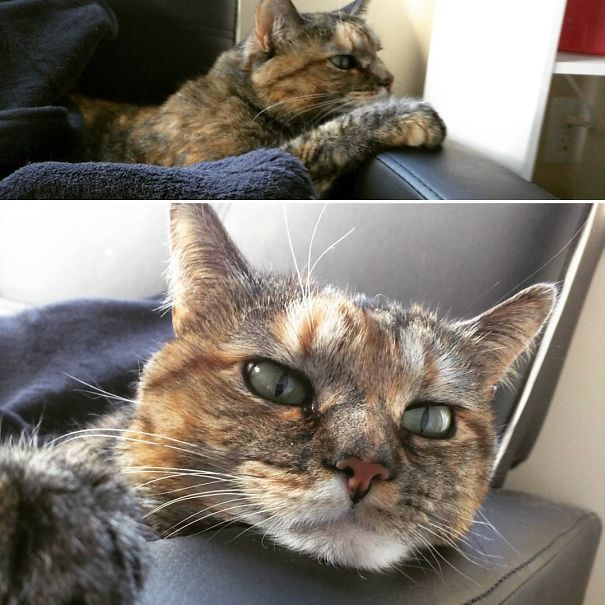 I Fell In Love I Fell In Love