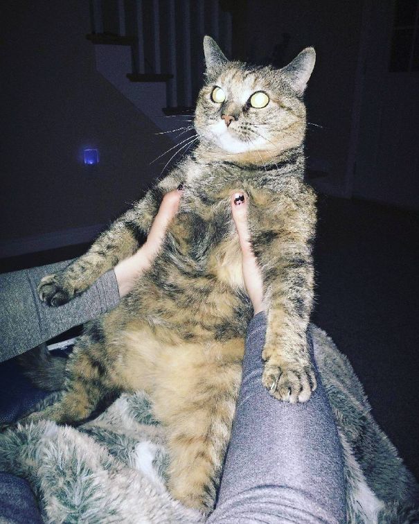 I Fell In Love I Fell In Love