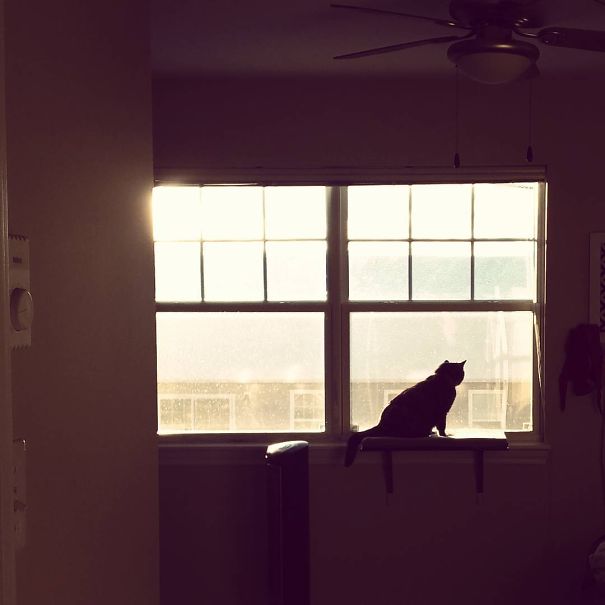 I Fell In Love I Fell In Love