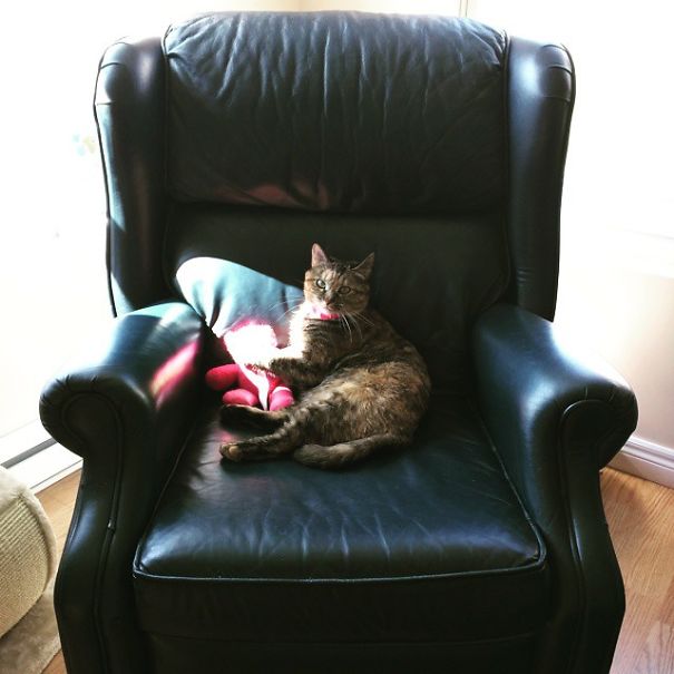 I Fell In Love I Fell In Love