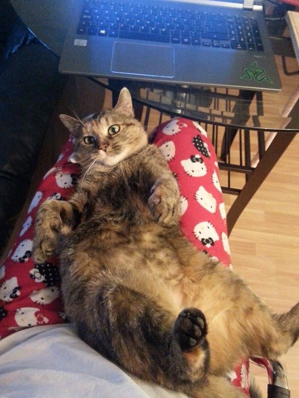 I Fell In Love I Fell In Love