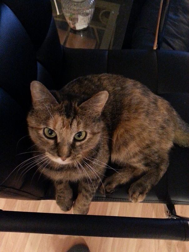 I Fell In Love I Fell In Love