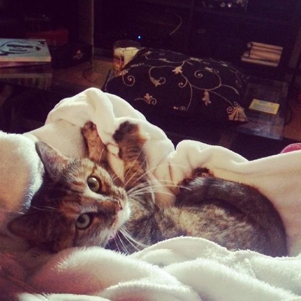 I Fell In Love I Fell In Love