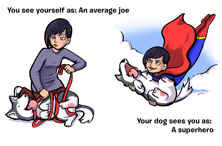 How You See Yourself Vs How Your Dog Sees You