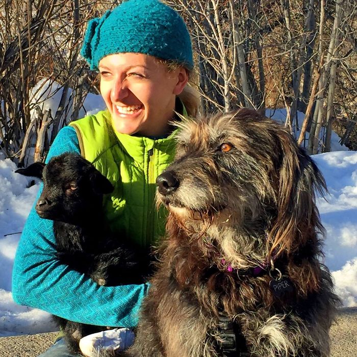 I Adopted A Lovely Baby Goat That Lost His Back Legs After Frostbite