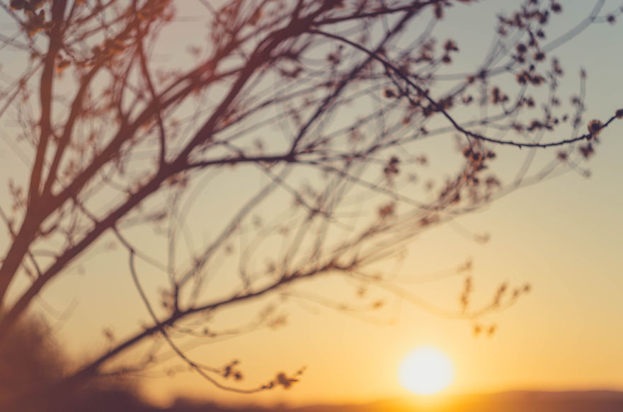 I Capture Sunsets For You To Admire