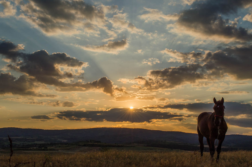 I Capture Sunsets For You To Admire