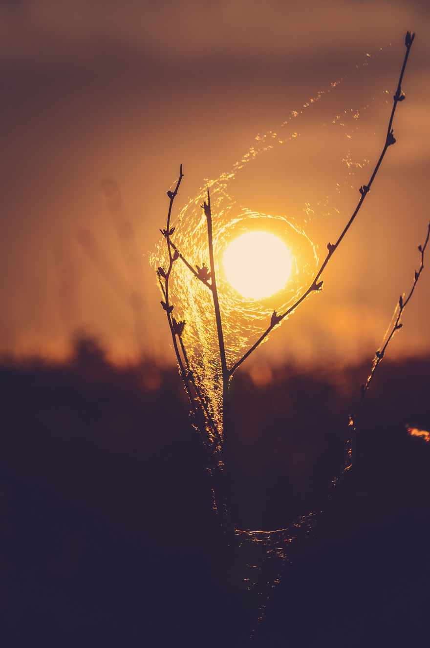 I Capture Sunsets For You To Admire