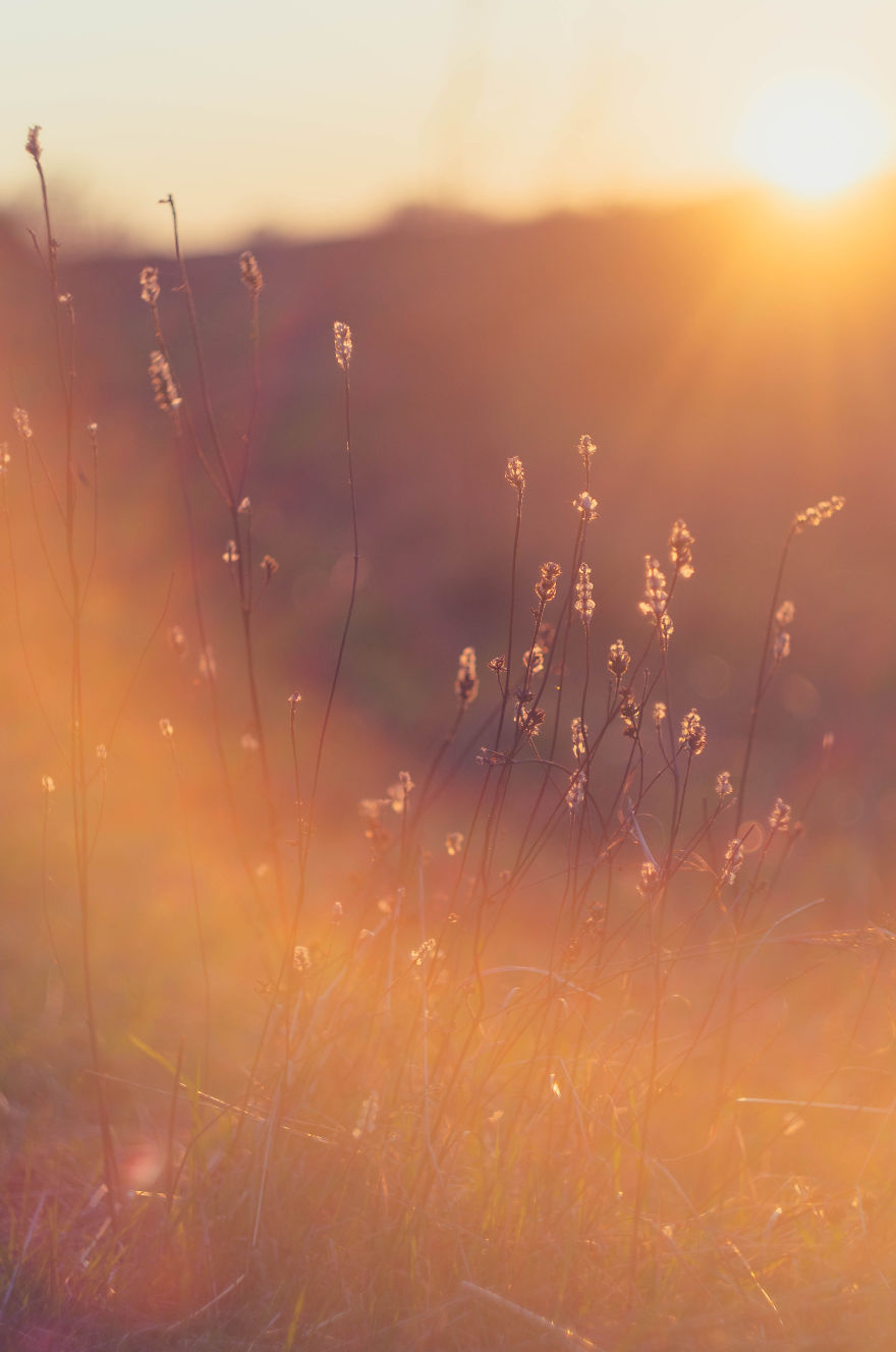 I Capture Sunsets For You To Admire