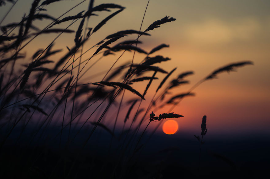 I Capture Sunsets For You To Admire