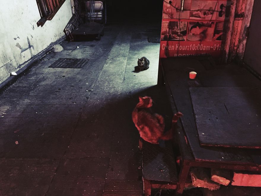 Midnight Back Alleys Of Hong Kong