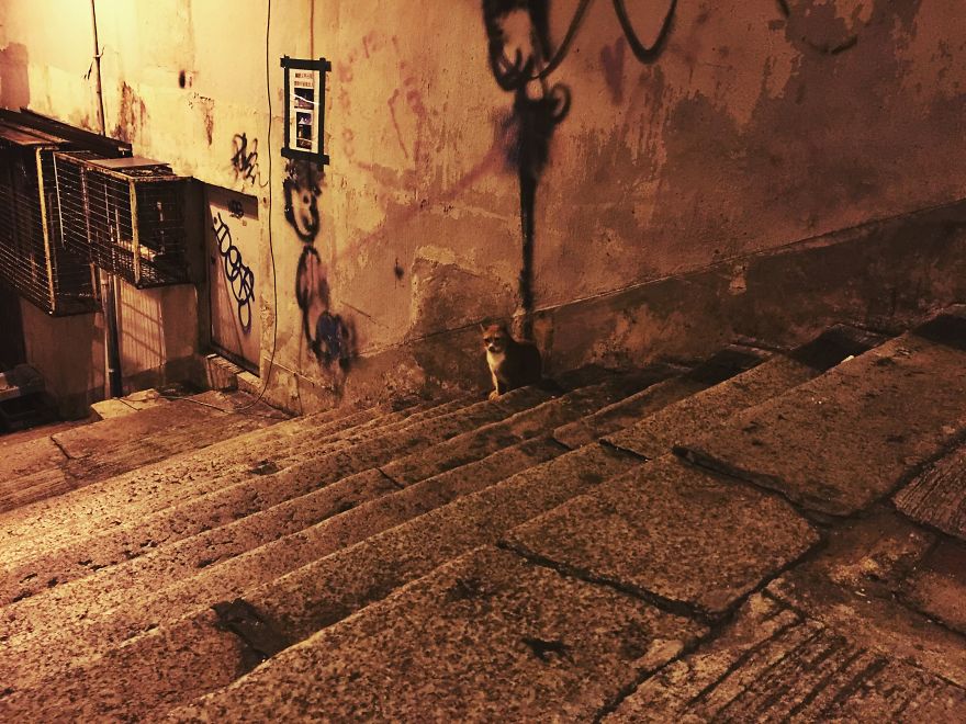 Midnight Back Alleys Of Hong Kong