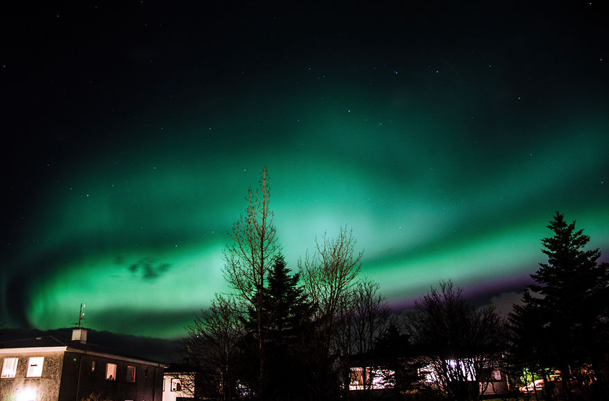 I've Been Hunting The Northern Lights In Iceland For 1 Year