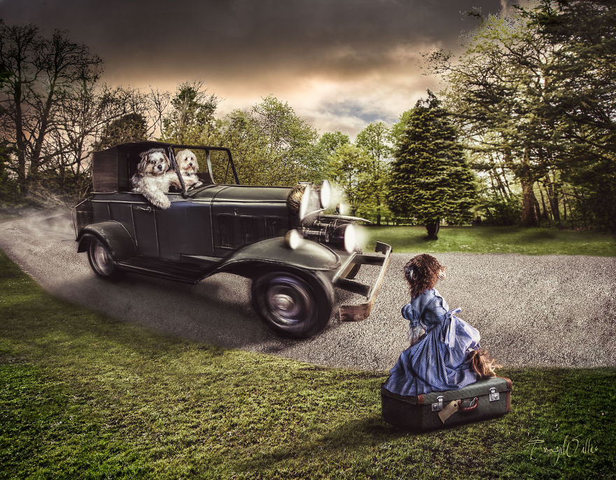 I Create Surreal Photos Of My Pets Using Photoshop I Create Surreal Photos Of My Pets Using Photoshop