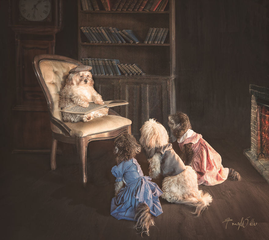 I Create Surreal Photos Of My Pets Using Photoshop I Create Surreal Photos Of My Pets Using Photoshop