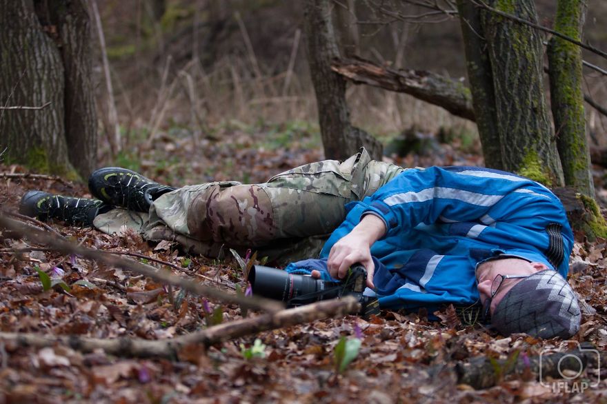 I Drove Thousands Of Kilometres To Photograph These Rare Spring Flowers