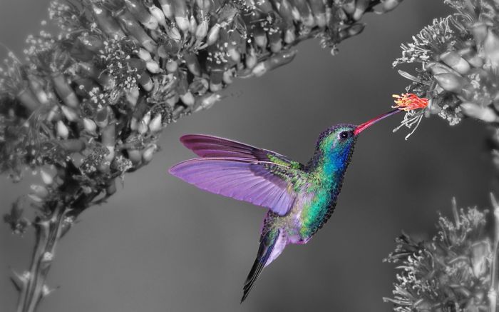 I Made Beautiful Photos (color Transformation) Part One