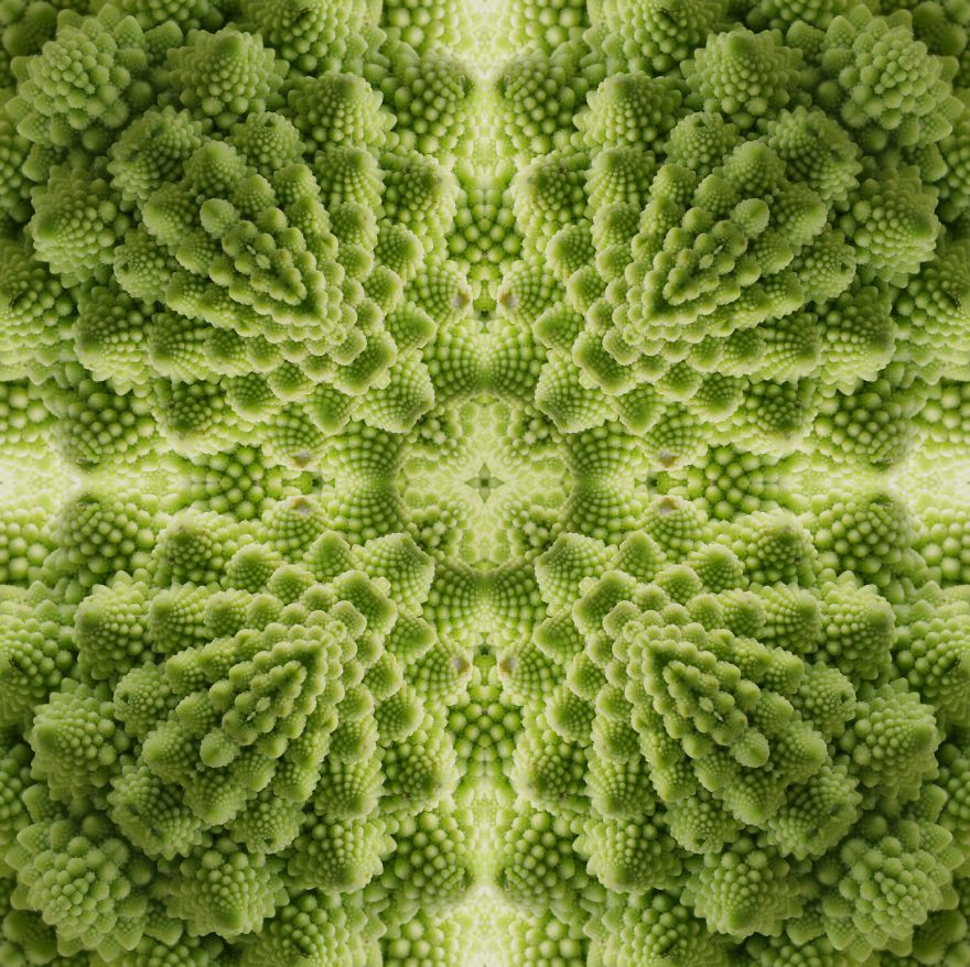 I Make Mandalas From Vegetables