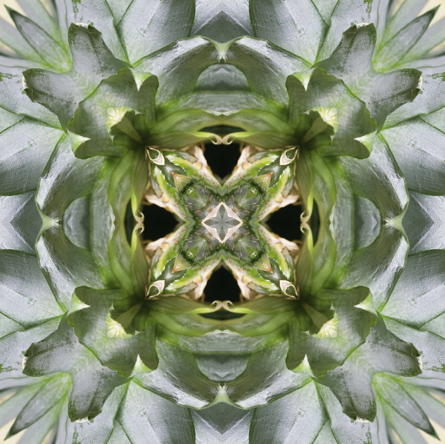 I Make Mandalas From Vegetables